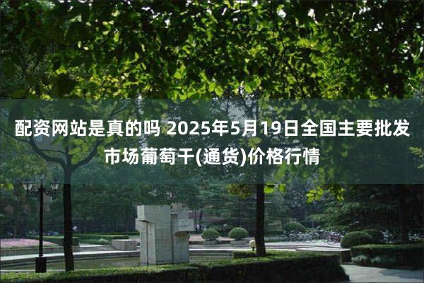 配资网站是真的吗 2025年5月19日全国主要批发市场葡萄干(通货)价格行情