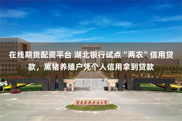 在线期货配资平台 湖北银行试点“两农”信用贷款，黑猪养殖户凭个人信用拿到贷款