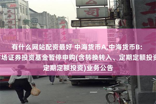 有什么网站配资最好 中海货币A,中海货币B: 中海货币市场证券投资基金暂停申购(含转换转入、定期定额投资)业务公告