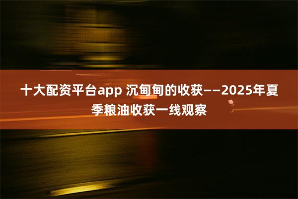 十大配资平台app 沉甸甸的收获——2025年夏季粮油收获一线观察