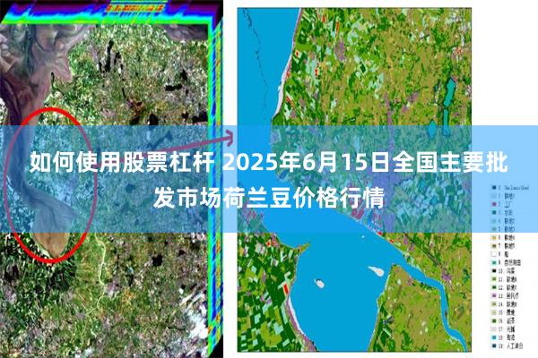 如何使用股票杠杆 2025年6月15日全国主要批发市场荷兰豆价格行情