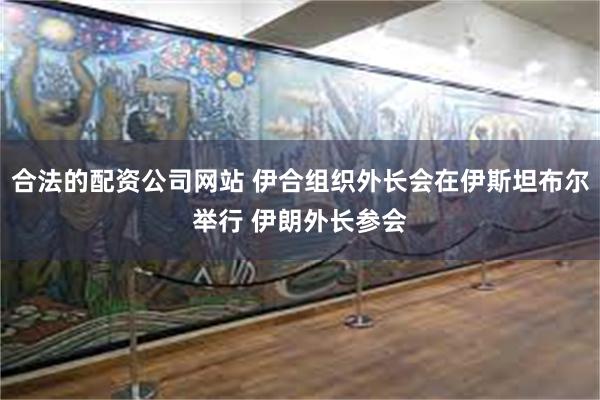合法的配资公司网站 伊合组织外长会在伊斯坦布尔举行 伊朗外长参会