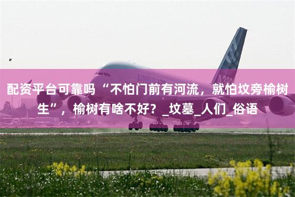 配资平台可靠吗 “不怕门前有河流，就怕坟旁榆树生”，榆树有啥不好？_坟墓_人们_俗语
