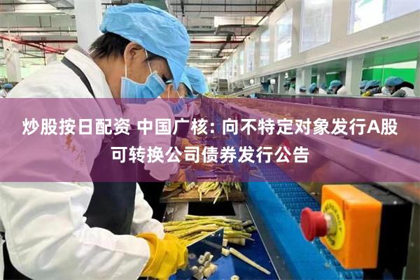 炒股按日配资 中国广核: 向不特定对象发行A股可转换公司债券发行公告