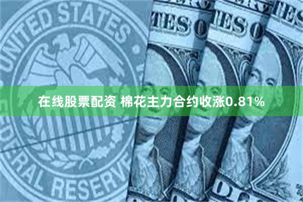 在线股票配资 棉花主力合约收涨0.81%