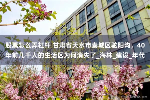 股票怎么弄杠杆 甘肃省天水市秦城区驼阳沟，40年前几千人的生活区为何消失了_海林_建设_年代