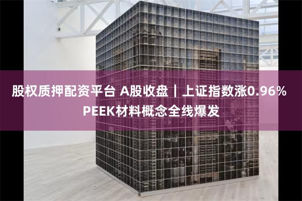 股权质押配资平台 A股收盘｜上证指数涨0.96% PEEK材料概念全线爆发