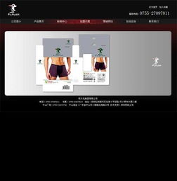 龍華觀湖順鼎宏電子公司網(wǎng)站建設案例